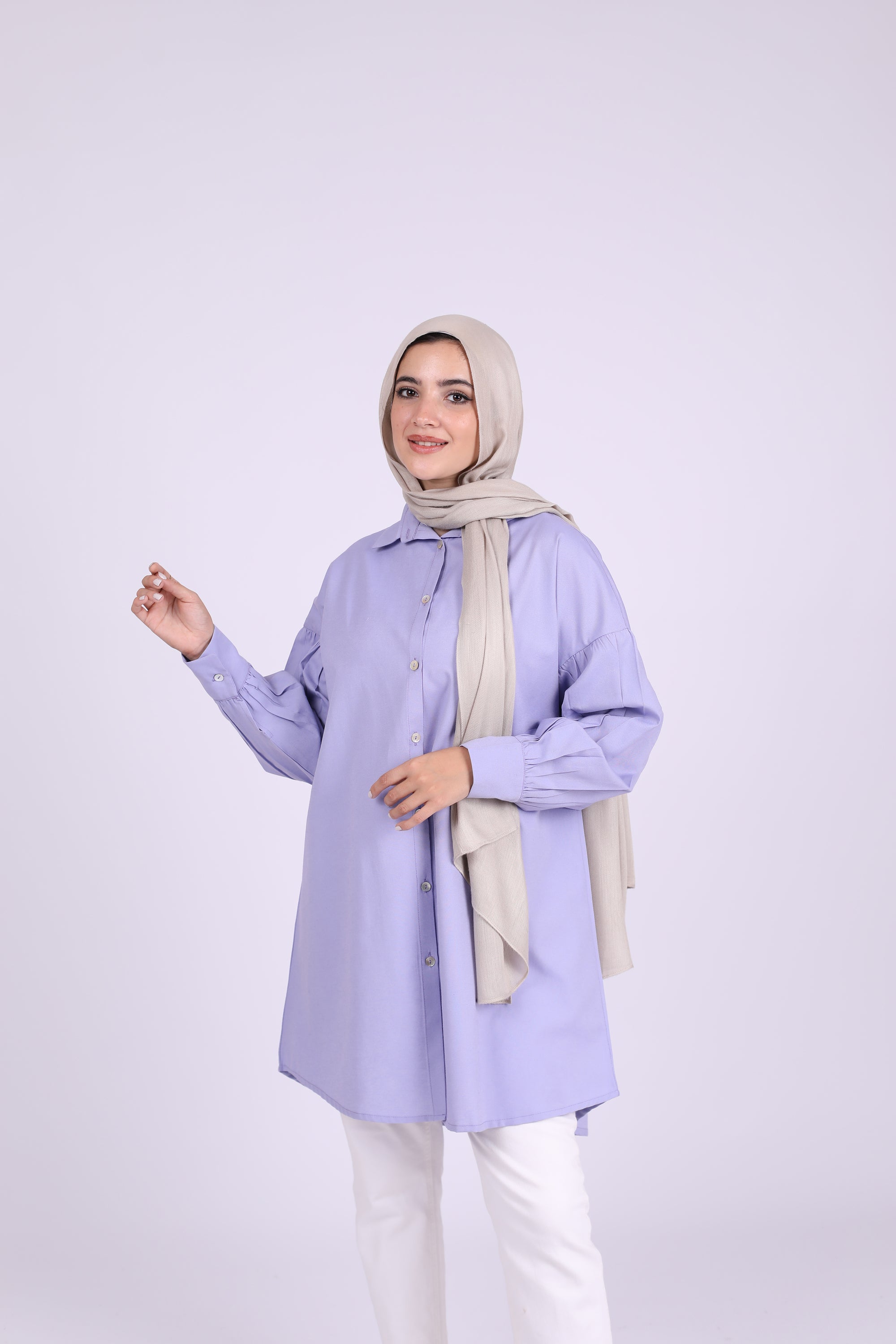 Oxford Shirt 3689
