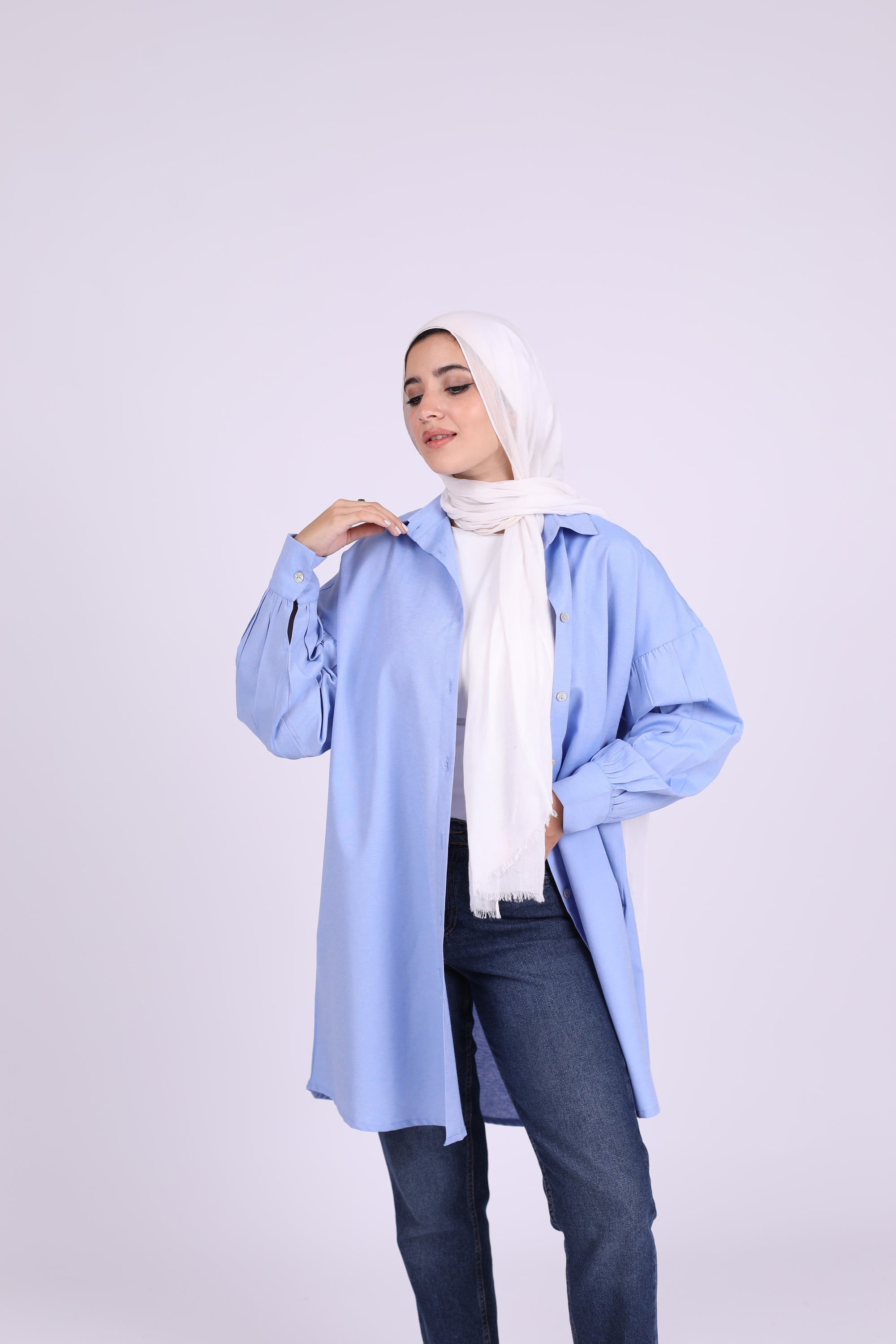Oxford Shirt 3689