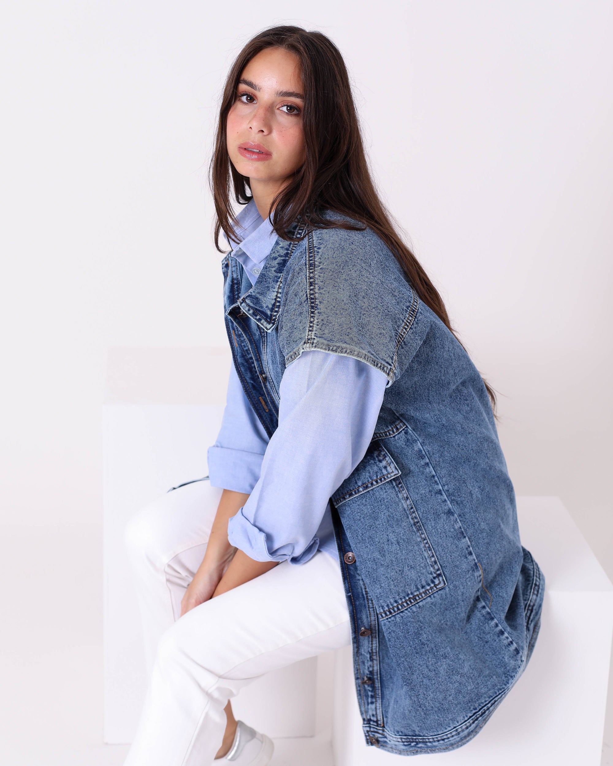 Denim  Dress Shirt W704