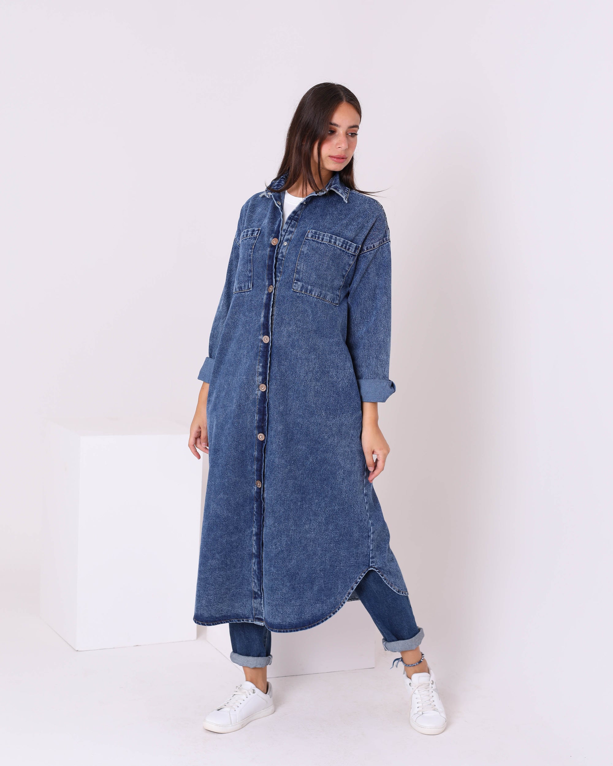 Denim  Dress Shirt W700